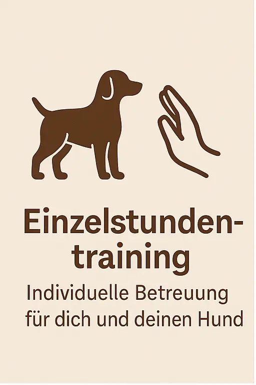 individual dog training